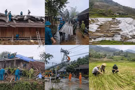 Thiệt hại khoảng 10 tỷ đồng do mưa đá, dông lốc tại Lào Cai