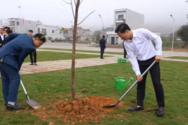 Phú Thọ: Rộn ràng khí thế “Tết trồng cây đời đời nhớ ơn Bác Hồ” Xuân Bính Ngọ 2026