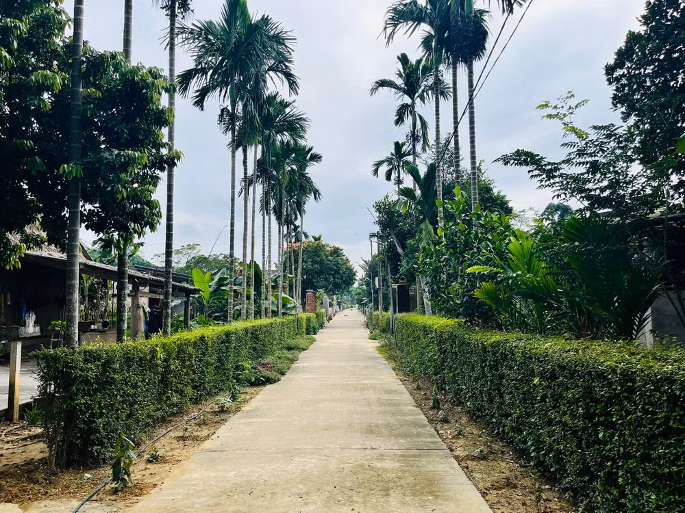 xay dung nong thon moi o quang binh ve ca ngay mai thanh buc tranh hinh 4