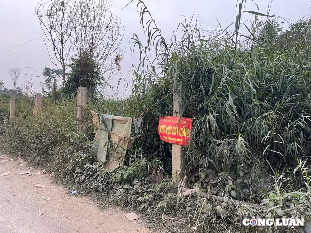 quan tay ho ha noi nguon luc dat dai con dang bi that thoat lang phi hinh 4