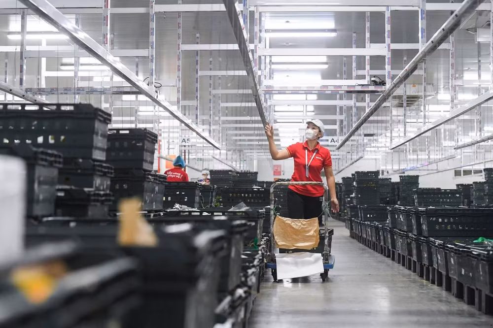 wincommerce se ve dich loi nhuan duong quy cuoi nam 2024 hinh 2