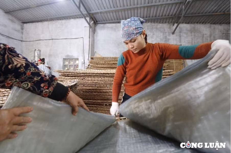lang mien dong tho thai binh tat bat vao vu tet hinh 4