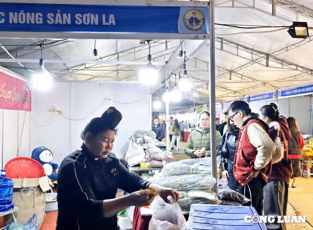 quang ninh lien hoan am thuc lon nhat tu truoc den nay hinh 10