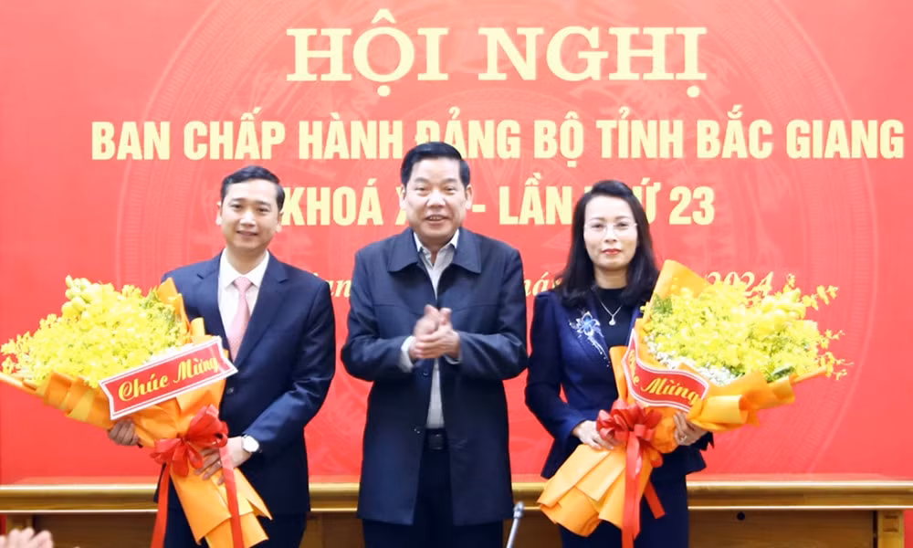 bac giang co 2 tan pho bi thu tinh uy hinh 1