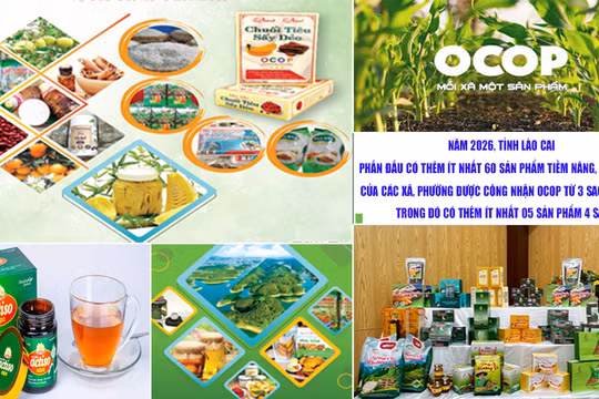 Lào Cai phấn đấu có thêm ít nhất 60 sản phẩm tiềm năng, thế mạnh của các xã, phường được công nhận OCOP từ 3 sao trở lên. Ảnh: CTTĐT Lào Cai.