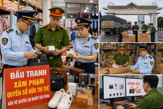 Lào Cai mở đợt cao điểm chống xâm phạm quyền sở hữu trí tuệ. Ảnh minh hoạ.