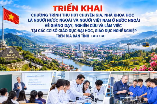 Lào Cai tăng cường thu hút chuyên gia, nhà khoa học phục vụ phát triển nguồn nhân lực