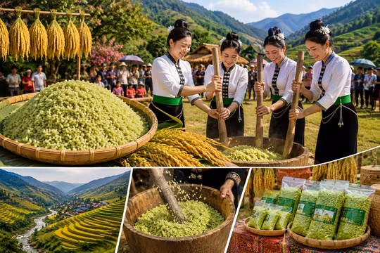 Lễ hội Cốm “Hương sắc mùa thu Tú Lệ” năm 2026: Điểm hẹn khám phá văn hóa và mùa vàng Tây Bắc