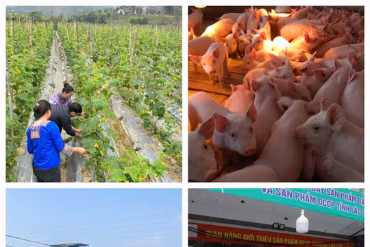 Lào Cai duy trì đà tăng trưởng tích cực trên các lĩnh vực kinh tế - xã hội