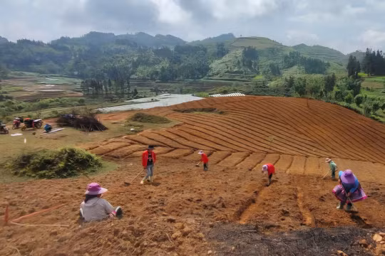 Lào Cai phấn đấu thành lập mới ít nhất 60 hợp tác xã nông nghiệp đến năm 2030. Ảnh: Đinh Đại.