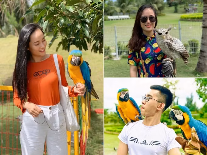 Ảnh: @hn.nguyen_; Fanpage Safari FLC Quy Nhơn.