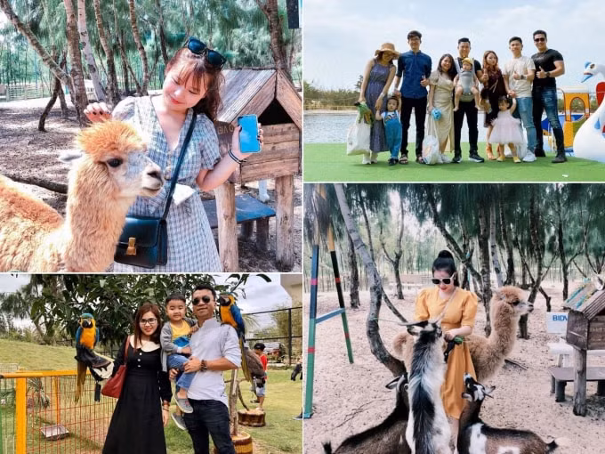 Ảnh: lengthuydung ; Fanpage Safari FLC Quy Nhơn.