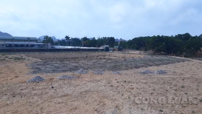 Một góc khu vực ông Thành chiếm đất công trái phép làm vườn ao tại thôn 9, xã Hạ Long. Ảnh: Nguyễn Quân.