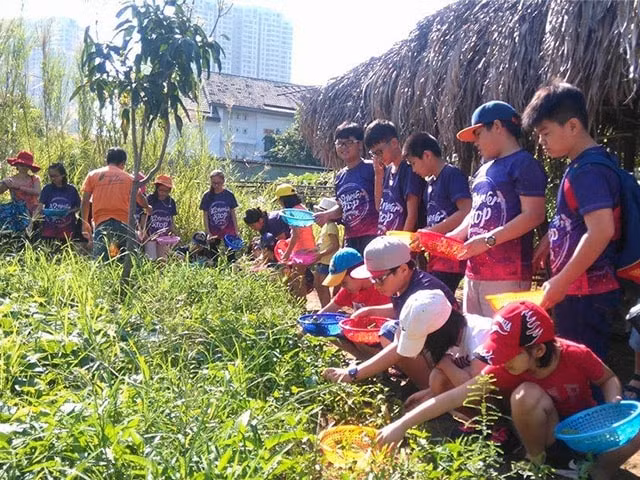 Family Garden Thảo Điền là mô hình vui chơi hoạt động ngoài trời mới lạ. Ảnh: TL