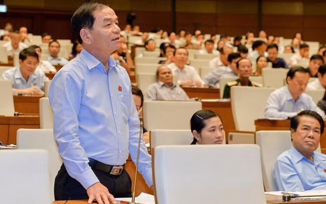 Đại biểu Quốc hội Lê Thanh Vân.