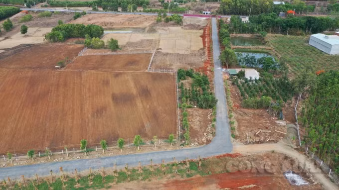 Tổng quan của dự án, nhìn từ trên cao.