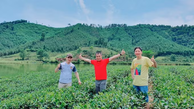 Công ty CP lữ hành Thành Sen khảo sát chặng tour mới tham quan đồi chè Tây Sơn