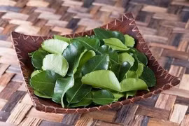 Những công dụng chữa bệnh tuyệt vời của lá chanh