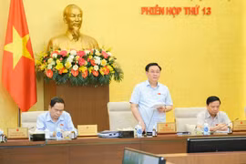 Trình ký ngay Nghị quyết về chuyển đổi rừng, đất trồng lúa của dự án cao tốc Bắc - Nam phía Đông