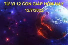 Tử vi 12/7/2022 hôm nay, thứ 3 ngày 14/6 âm lịch của 12 con giáp