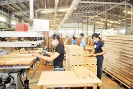 Mỹ khởi xướng điều tra tủ gỗ nhập từ Việt Nam
