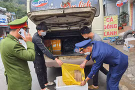 Bắt giữ vụ vận chuyển pháo tại Hà Giang