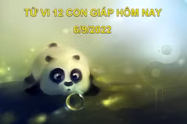 Tử vi hôm nay 6/9/2022, thứ 3 ngày 11/8 âm lịch của 12 con giáp