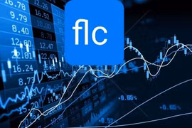 Cổ phiếu FLC, ROS được xem xét giao dịch trở lại khi nào?