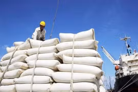 Xuất khẩu gạo sang EU trong 4 tháng đầu năm 2022 đạt trên 30.000 tấn nhờ EVFTA