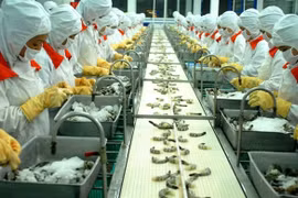 Việt Nam xuất khẩu tôm sang Canada tăng cao nhất trong khối CPTPP