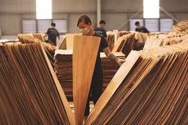 Đồ gỗ Việt Nam có thể bị áp thuế lên đến 200% nếu có gian lận thuế