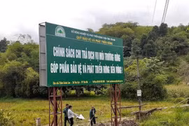Yên Bái kỷ luật cảnh cáo 6 cán bộ, đảng viên vi phạm chi trả dịch vụ môi trường rừng