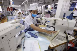 Tăng cường sự hiện diện của doanh nghiệp Việt Nam tại thị trường Ấn Độ