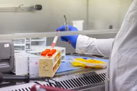 Các nhà khoa học đang theo dõi biến thể BA.2 mới của Omicron