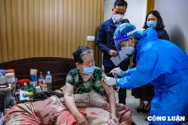 Hà Nội thực hiện chiến dịch cao điểm tiêm chủng xuyên Tết Nguyên đán