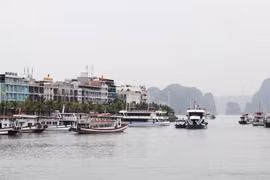 Quảng Ninh: Thu ngân sách đạt gần 27,2 nghìn tỷ đồng trong 6 tháng đầu năm