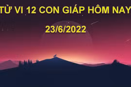 Tử vi 23/6/2022 hôm nay, thứ 5 ngày 25/5 âm lịch của 12 con giáp