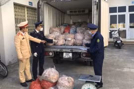 Thanh Hóa: Thu giữ 1,4 tấn bì lợn đông lạnh không rõ nguồn gốc xuất xứ