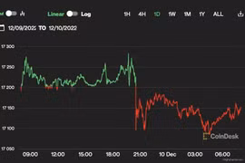 Giá Bitcoin hôm nay 10/12: FTX bí mật tài trợ The Block