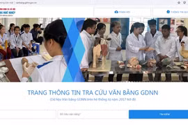 Đình chỉ hoạt động giáo dục nếu không cập nhật văn bằng, chứng chỉ trên Trang tra cứu