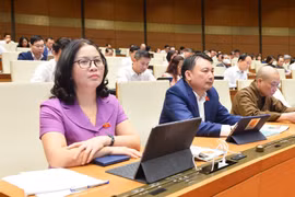Tăng cường thanh tra công tác quản lý Nhà nước và trách nhiệm của người đứng đầu