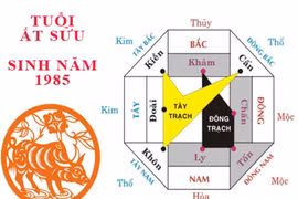 Hướng nhà hợp phong thủy cho tuổi Ất Sửu 1985