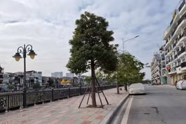 Hải Phòng: Dự chi 572 tỷ đồng lát đá vỉa hè trên nhiều tuyến phố