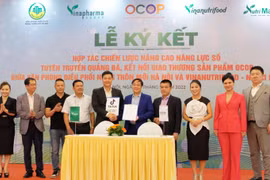 Hà Nội: Nâng cao năng lực số để quảng bá, kết nối giao thương sản phẩm OCOP