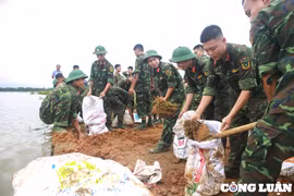 Hà Nội: Quân đội cùng nhân dân chung tay chống lũ, bảo vệ lúa xuân
