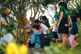 Nơi tìm lại tuổi thơ cho trẻ em phố thị
