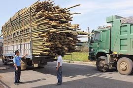 Xử lý hơn 47.400 phương tiện vi phạm quy định bảo vệ môi trường
