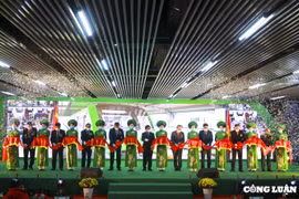 Hà Nội: Sau 2 tháng vận hành, đường sắt Cát Linh - Hà Đông đón 1 triệu hành khách