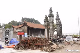 Hà Nội: Người dân tiếc nuối cây đa lớn bị chặt hạ khi tu sửa đình làng cổ 2.000 năm