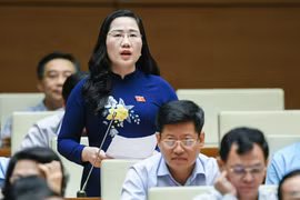 Bỏ thẩm quyền giải quyết tranh chấp đất đai của UBND là "thu hẹp" quyền lựa chọn của người dân